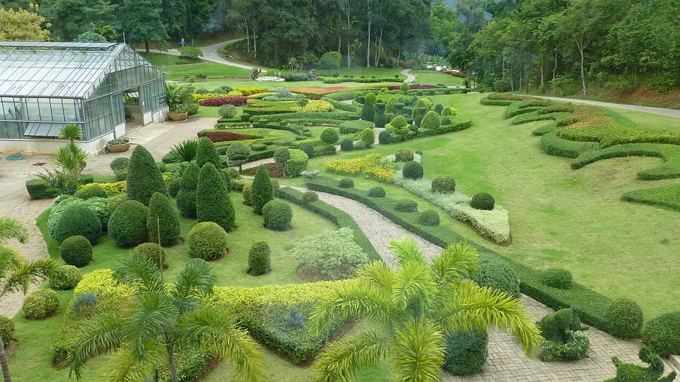 Orchid Nursery